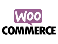 Woocommerce Store Design Services - Wordpress Website Design Services
